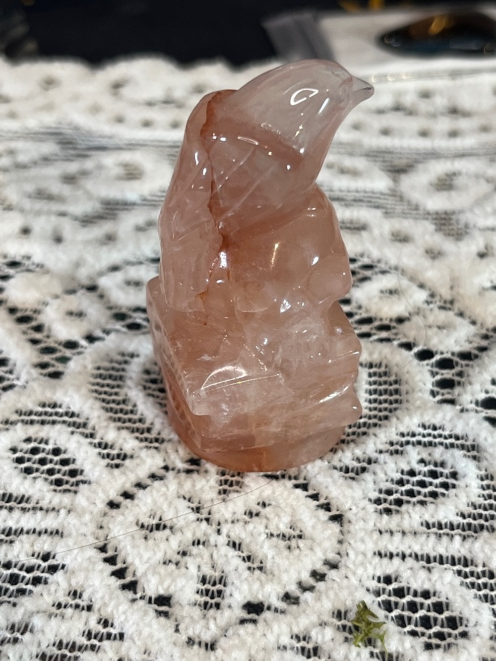 Fire quartz raven on skull and books